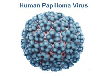 TÍNH CẤP THIẾT VÀ ỨNG DỤNG REAL TIME PCR TRONG CHẨN ĐOÁN VIRUS HPV GÂY UNG THƯ CỔ TỬ CUNG