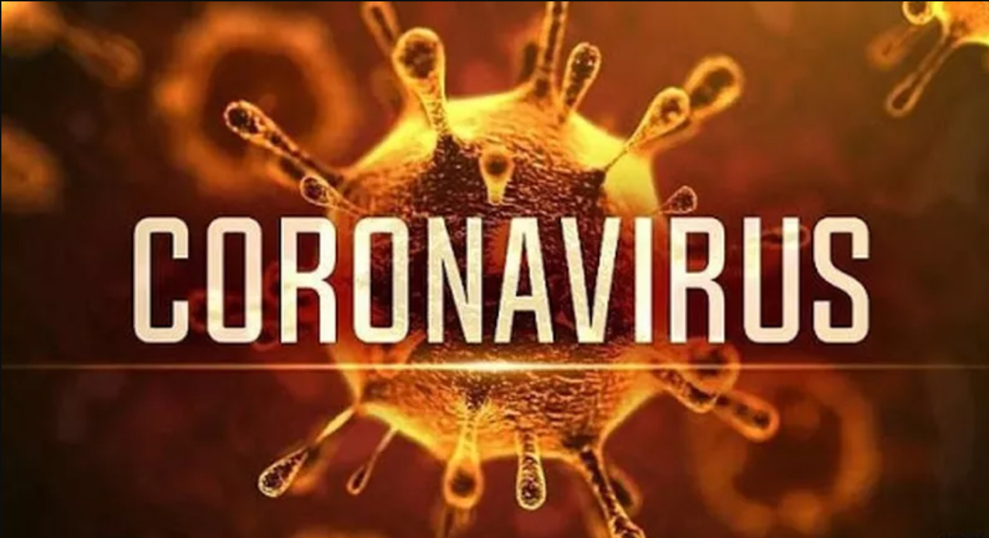 Virus Corona 2019 (virus corona)